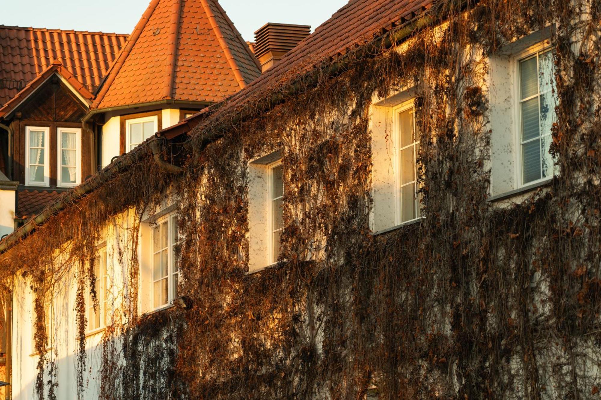 Landhotel & Restaurant Kains Hof Uhlstädt Eksteriør billede